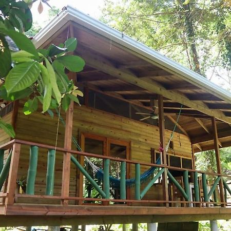 Jungle Beach 2 Bedroom Cottage Bocas del Toro Zewnętrze zdjęcie