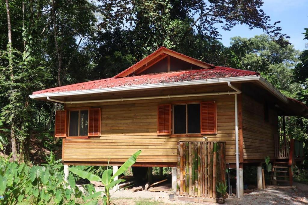 Jungle Beach 2 Bedroom Cottage Bocas del Toro Zewnętrze zdjęcie