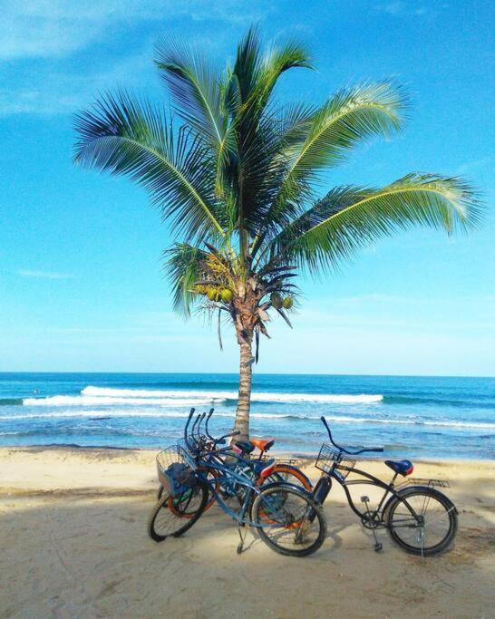 Jungle Beach 2 Bedroom Cottage Bocas del Toro Zewnętrze zdjęcie