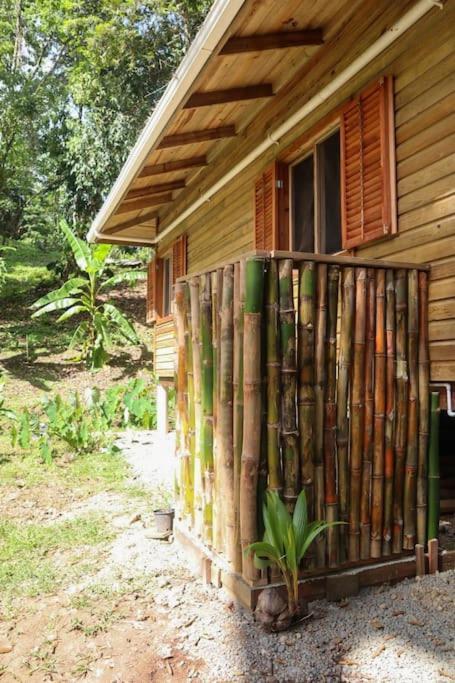 Jungle Beach 2 Bedroom Cottage Bocas del Toro Zewnętrze zdjęcie