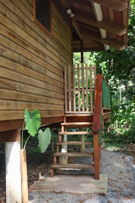 Jungle Beach 2 Bedroom Cottage Bocas del Toro Zewnętrze zdjęcie