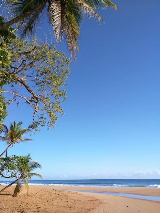 Jungle Beach 2 Bedroom Cottage Bocas del Toro Zewnętrze zdjęcie